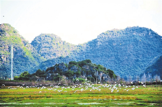 2021052401_res07_attpic_brief