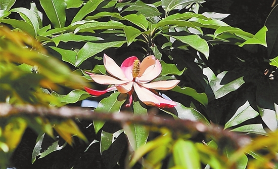 2021052405_res07_attpic_brief