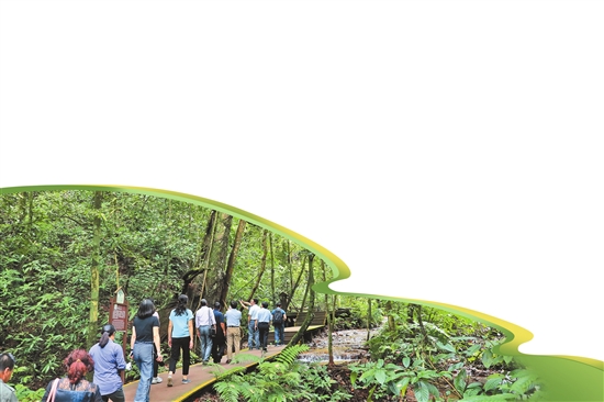 2021052405_res19_attpic_brief