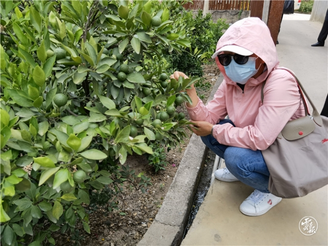 GetAttachment (3).jpg