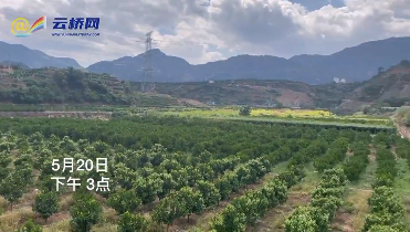 微信截圖_20210524171721 微信截圖_20210524171721