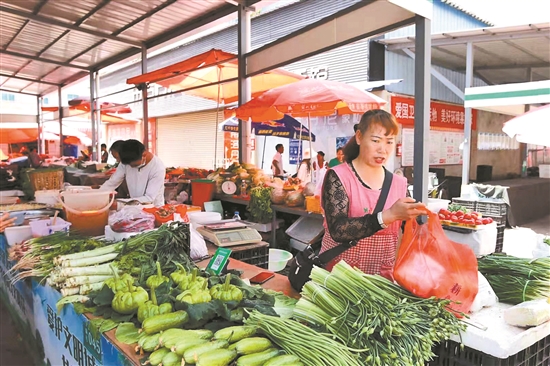 2021052503_res11_attpic_brief 2021052503_res11_attpic_brief