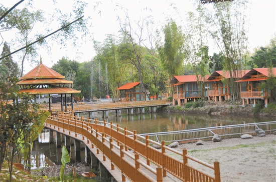 2021052606_res11_attpic_brief 2021052606_res11_attpic_brief