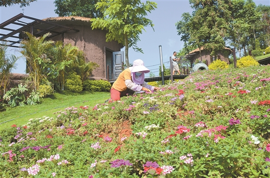 2021052606_res15_attpic_brief 2021052606_res15_attpic_brief