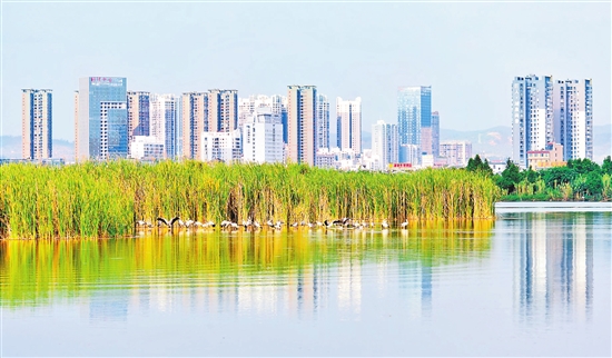 2021052803_res31_attpic_brief 2021052803_res31_attpic_brief