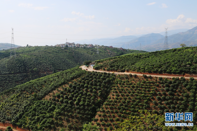 139984040_16225950391461n