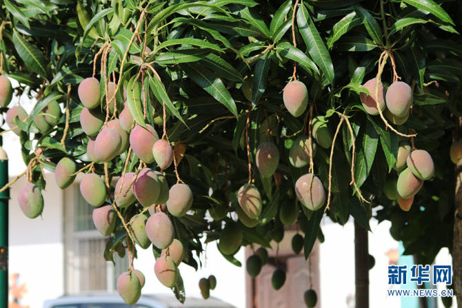 139984040_16225950393891n