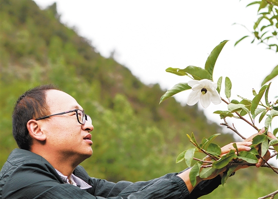 20210602A09_res07_attpic_brief 20210602A09_res07_attpic_brief