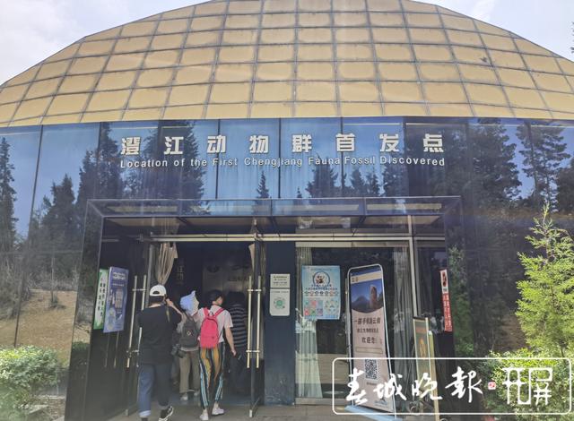 人的祖先在哪里？一條魚引發(fā)的生命共同體思考