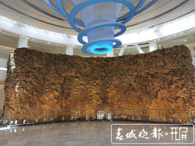 人的祖先在哪里？一條魚引發(fā)的生命共同體思考