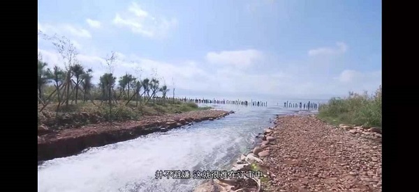 為杞麓湖虛假整改背書的這一群體