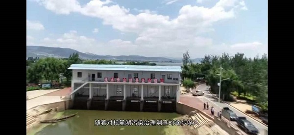 為杞麓湖虛假整改背書的這一群體