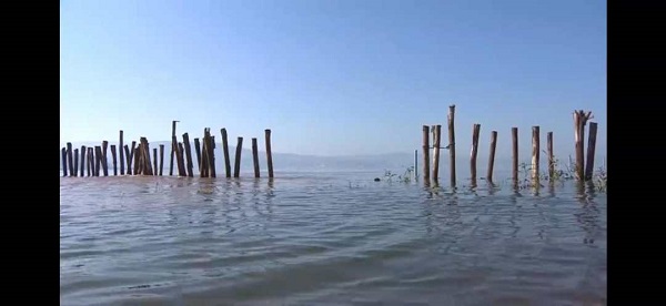 為杞麓湖虛假整改背書的這一群體