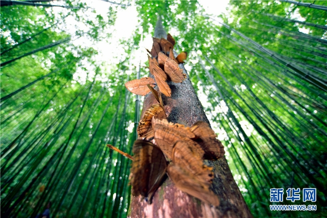 139985133_16226912336871n