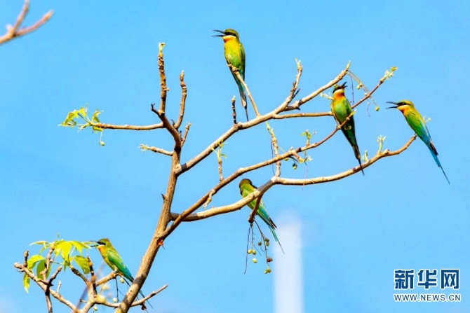 139976697_16226004800631n 139976697_16226004800631n