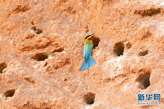 139976697_16226004801061n 139976697_16226004801061n