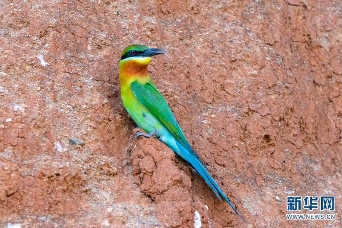 139976697_16226004801681n 139976697_16226004801681n