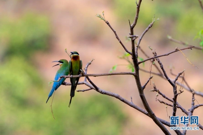 139976697_16226004802311n 139976697_16226004802311n