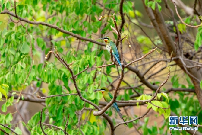 139976697_16226004802771n 139976697_16226004802771n