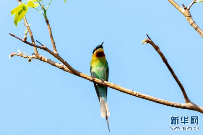 139976697_16226004803331n 139976697_16226004803331n