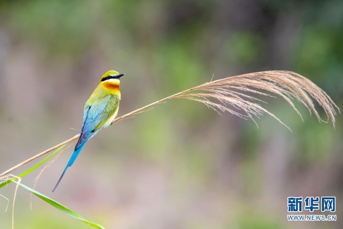 139976697_16226004803681n 139976697_16226004803681n