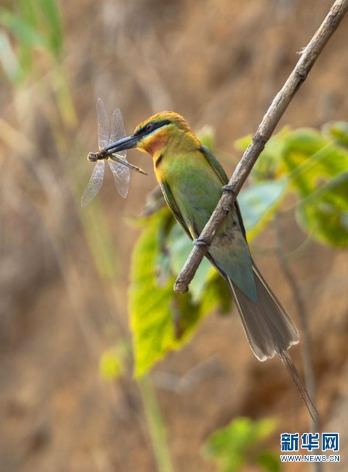 139976697_16226004804101n 139976697_16226004804101n