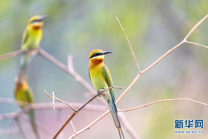 139976697_16226004804461n 139976697_16226004804461n