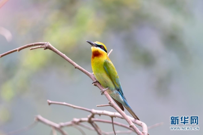 139976697_16226004804881n 139976697_16226004804881n