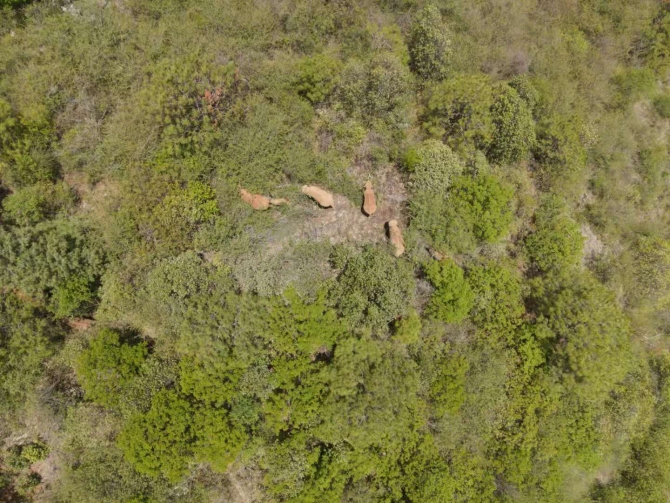 WechatIMG60 WechatIMG60