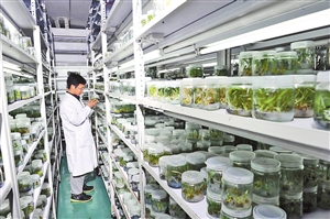 2021060501_res08_attpic_icon 2021060501_res08_attpic_icon