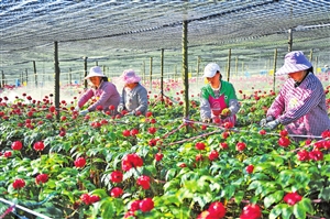 2021060503_res16_attpic_icon 2021060503_res16_attpic_icon