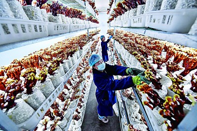 寧夏：建設(shè)黃河流域生態(tài)保護(hù)和高質(zhì)量發(fā)展先行區(qū)