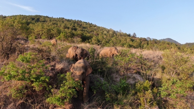 微信圖片_20210606094418