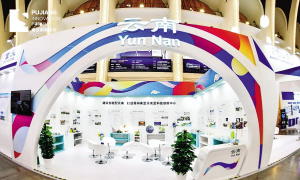 29381623001608795 29381623001608795