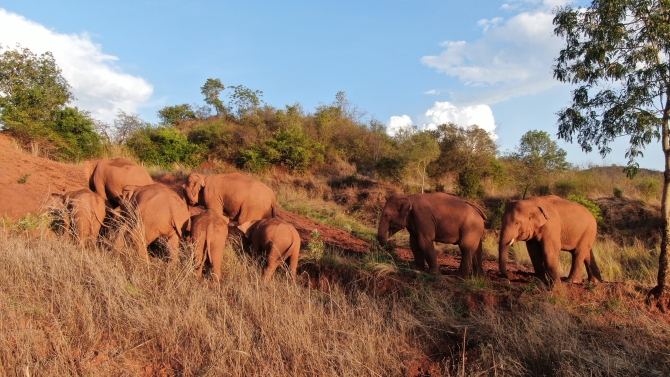 2021年6月7日晉寧夕陽鄉(xiāng)5