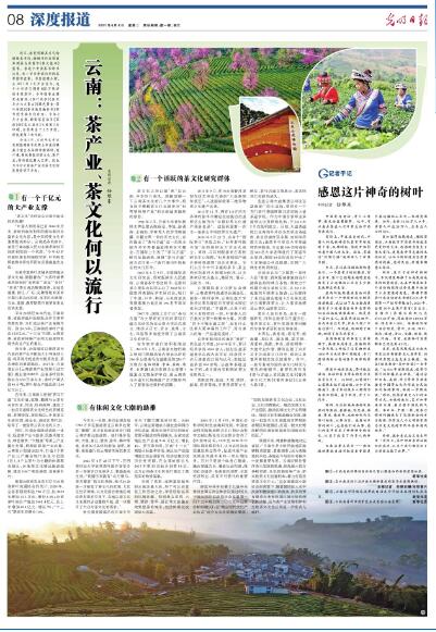 00303900624_8d09356c