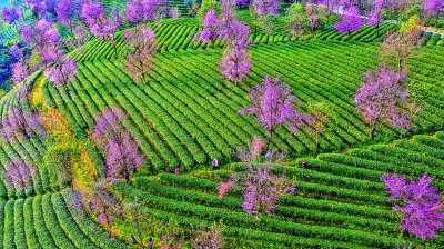 00303900599_7bac8863