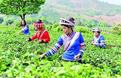 00303900621_5d7eb9ca