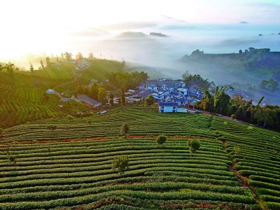 00303900622_6f4e9cb1