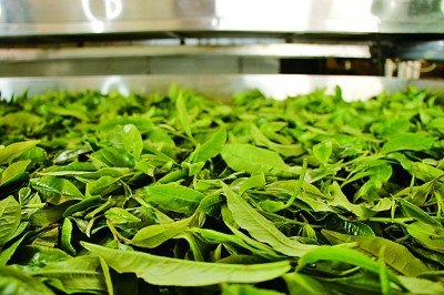 3c93dae8cec94084aa5159008d3df227