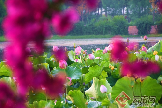 00303902009_0e505f5b 00303902009_0e505f5b