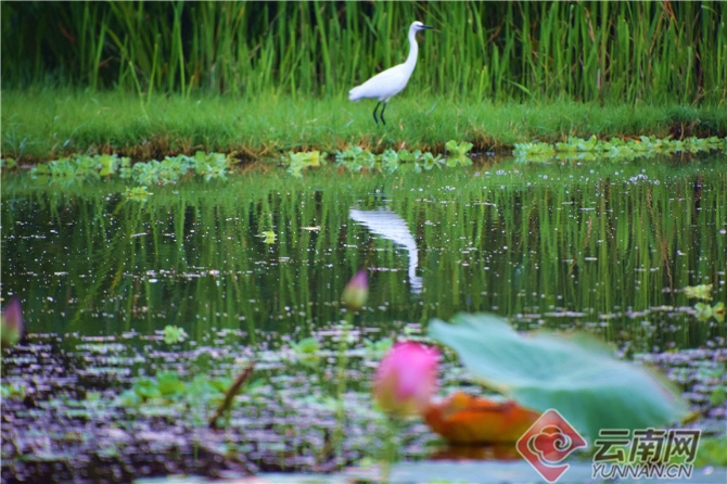 00303902024_6963dc23 00303902024_6963dc23