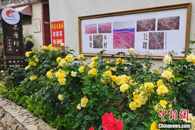 點(diǎn)擊進(jìn)入下一頁