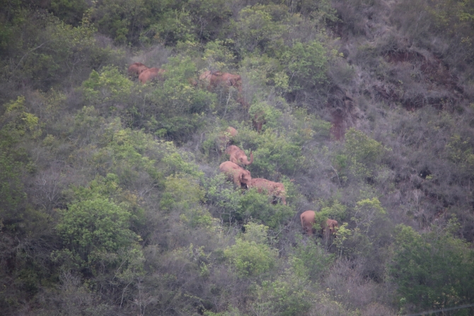 WechatIMG175 WechatIMG175