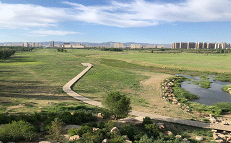 【大國小鮮@新發(fā)展理念】久久為功，包頭深耕生態(tài)建設(shè)