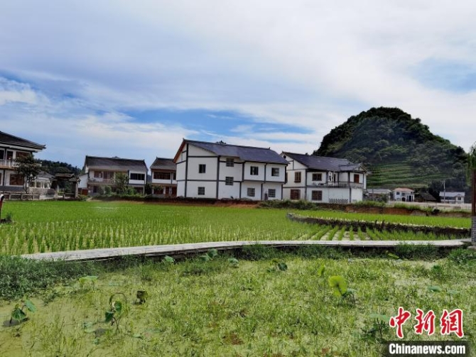 圖為花茂村?！≈苎嗔?攝