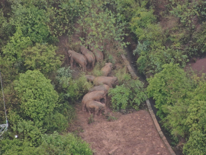 DJI_20210610110605_0025_Z DJI_20210610110605_0025_Z