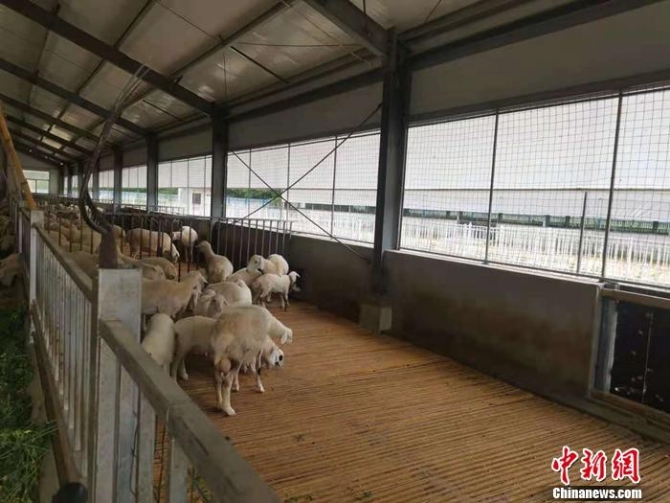 點擊進入下一頁