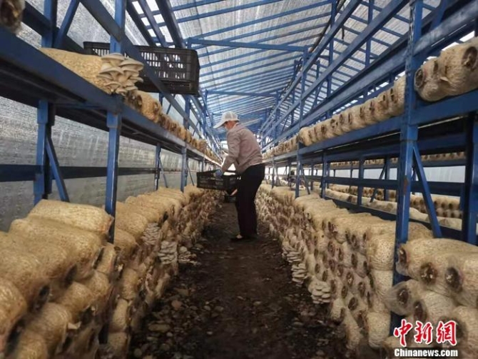 點擊進入下一頁