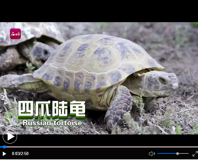 微信截圖_20210611170006 微信截圖_20210611170006